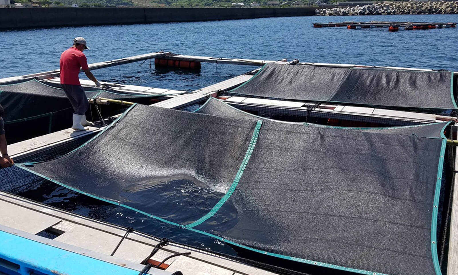 ホームページを公開しました